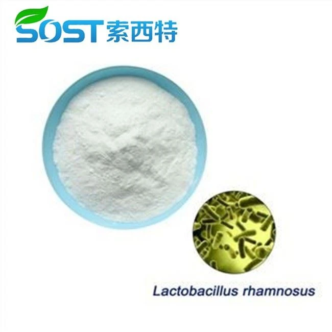 Lactobacillus Rhamnosus