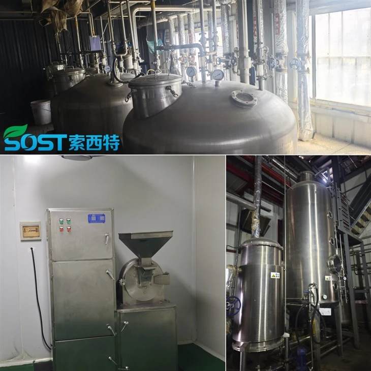 Pueraria Lobata Root Extract high quality